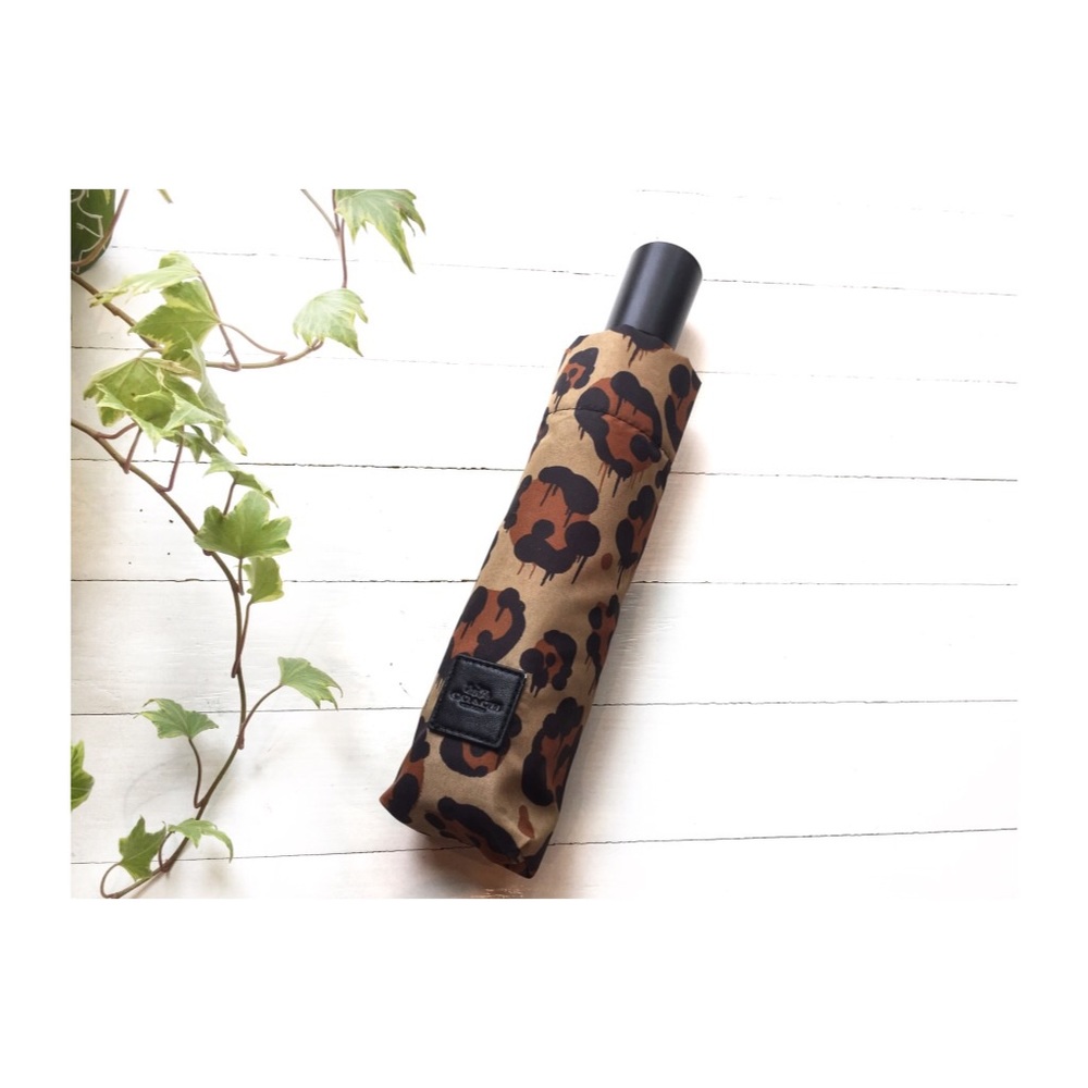 🌟GENTLY USED 🌟COACH LEOPARD PRINT UMBRELLA🌂😍